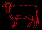 牛线稿动物手绘