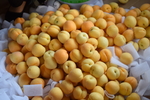 一堆杏子
