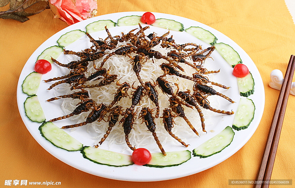 淮揚(yáng)菜椒鹽野生蝎