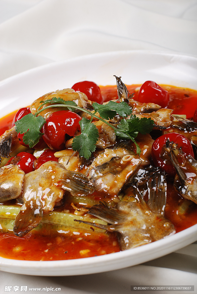 淮揚菜泡椒魚鰭
