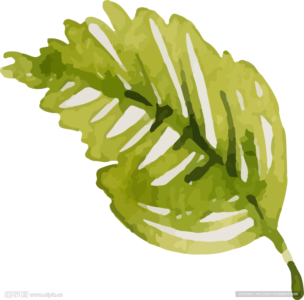 彩繪花卉