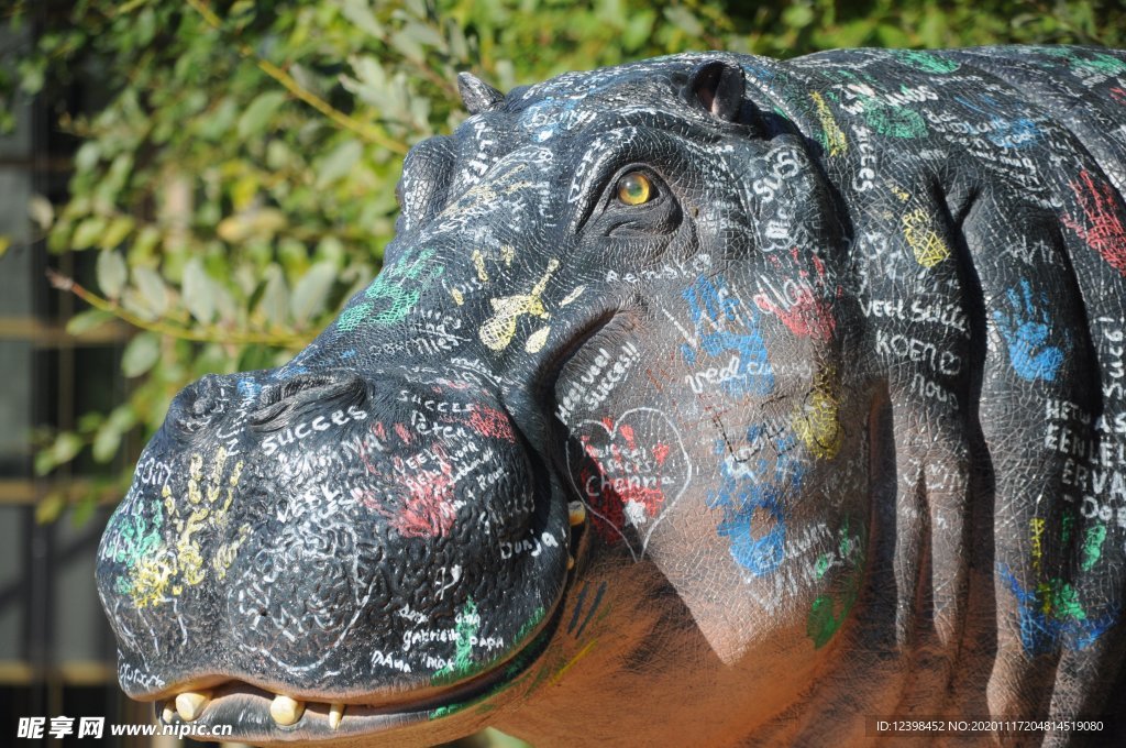 動(dòng)物園里面的河馬