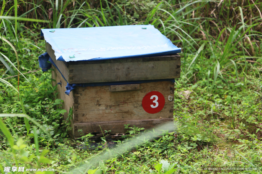 养蜂场 蜂箱