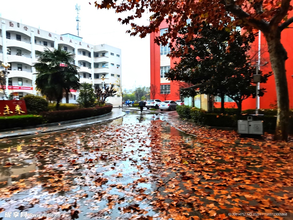 雨天的校园风景