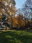 公園光影