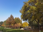 公園 遠景