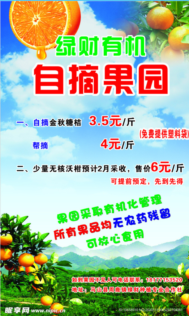 柑橘