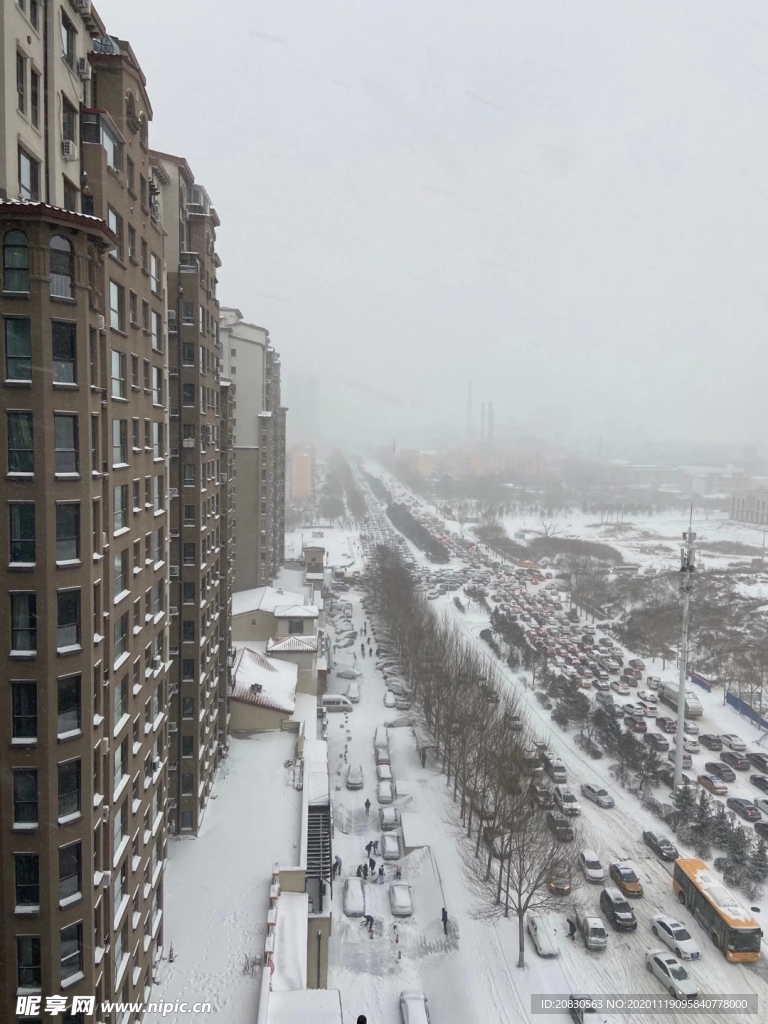 大雪中的哈爾濱