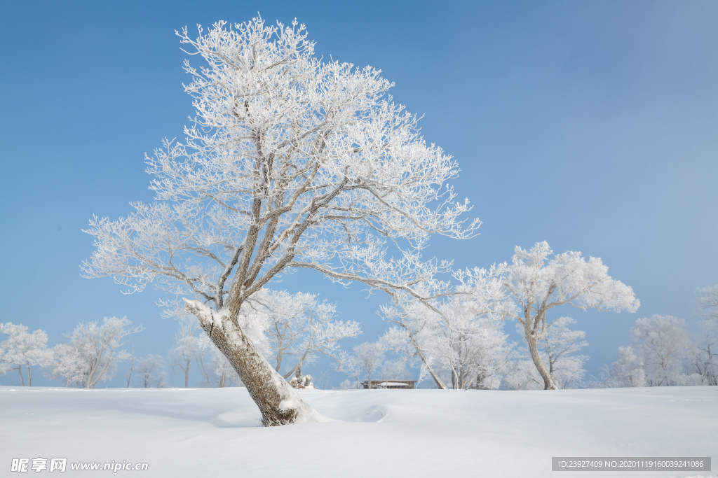 雪