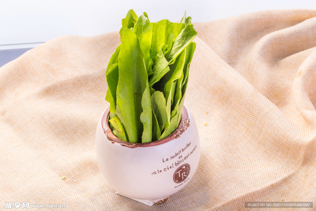 油麥菜