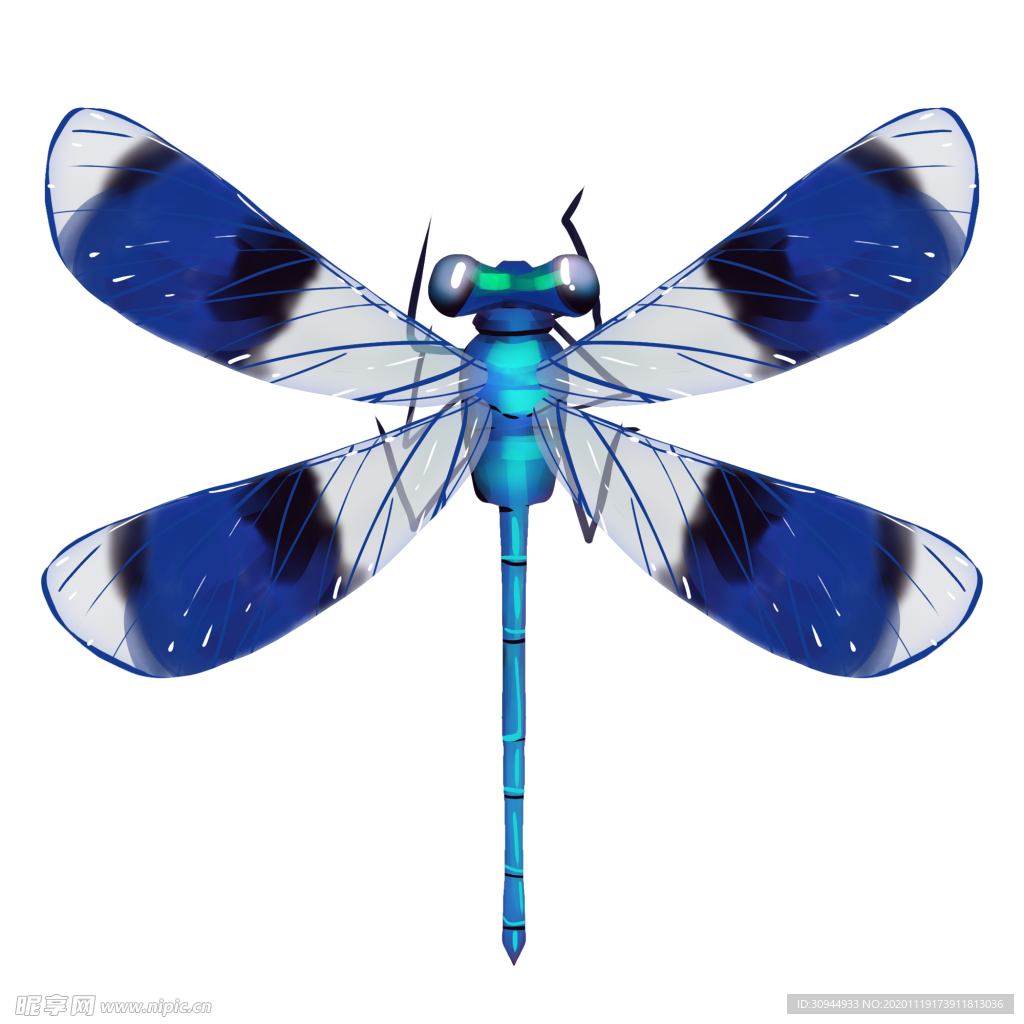 蜻蜓
