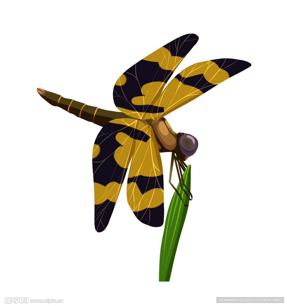 蜻蜓