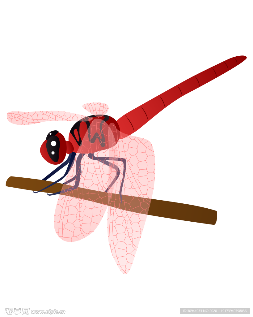 蜻蜓