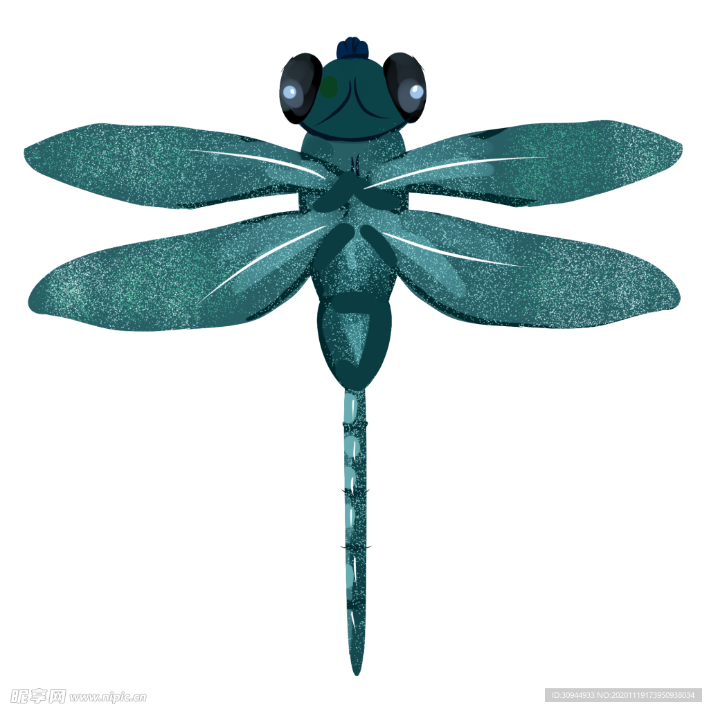 蜻蜓