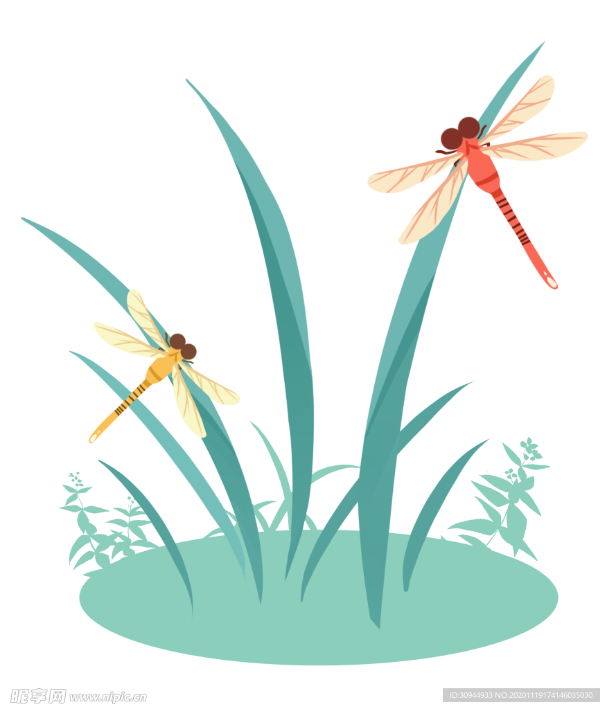蜻蜓
