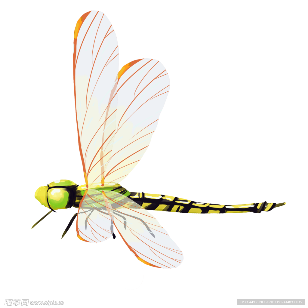 蜻蜓