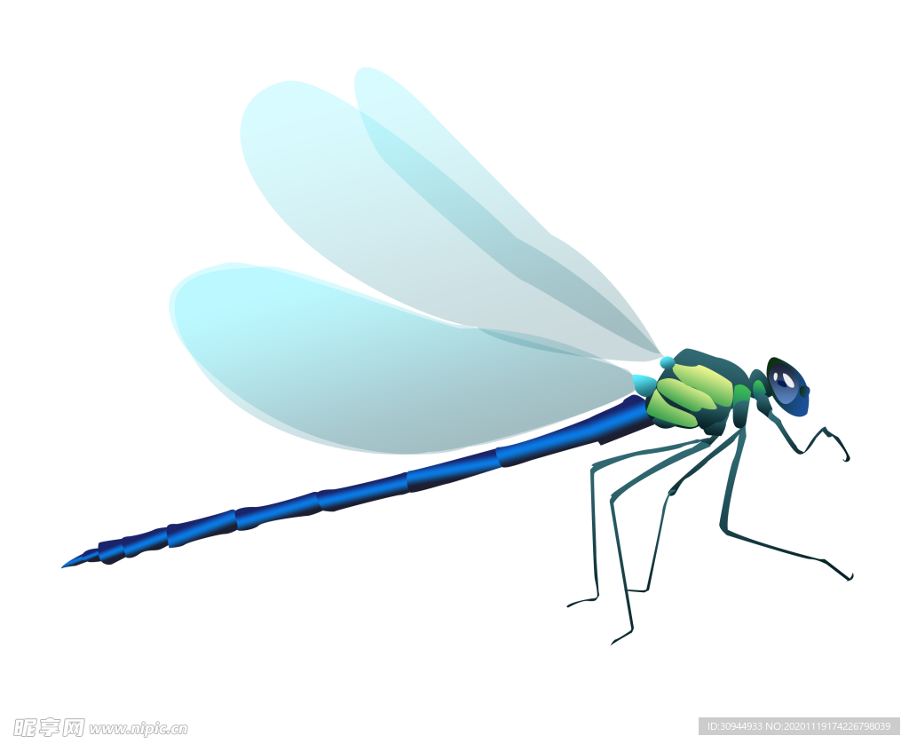蜻蜓