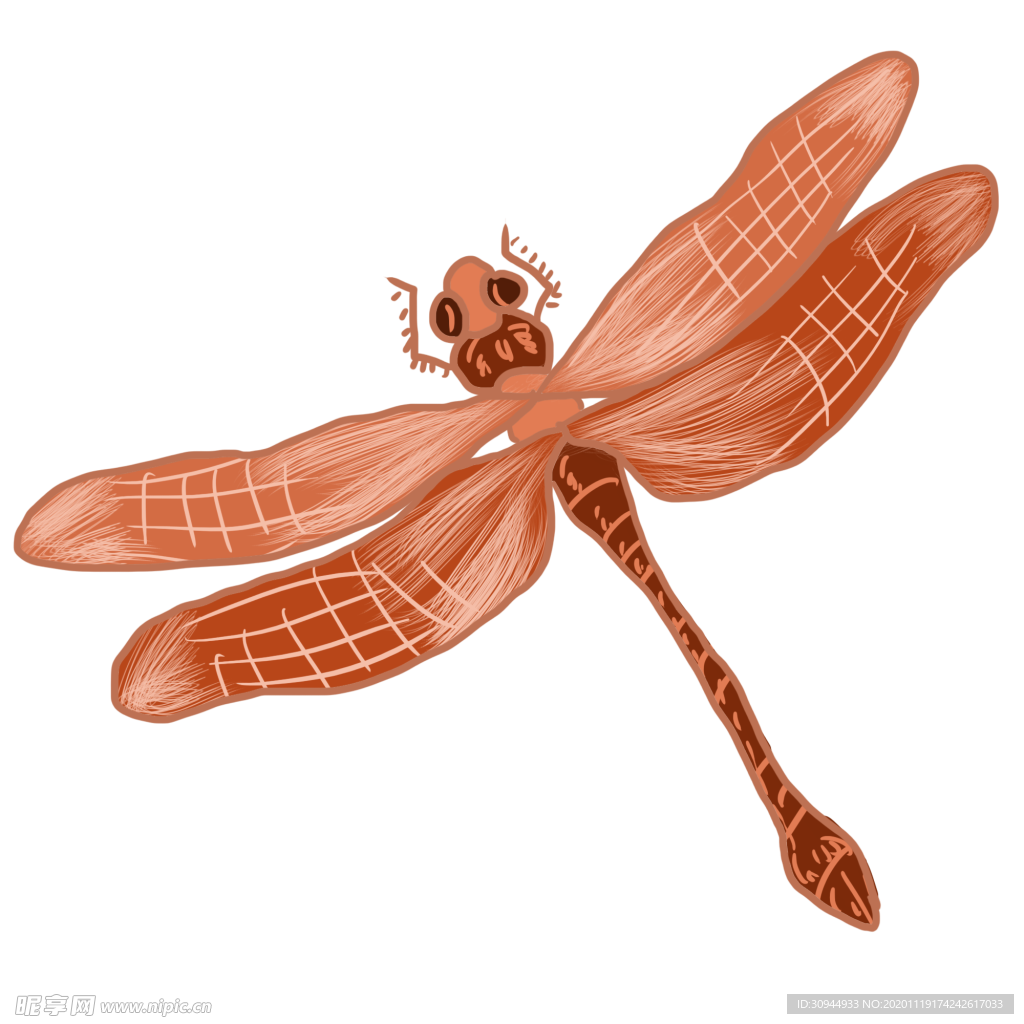 蜻蜓