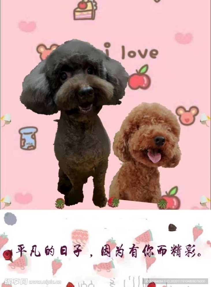 狗狗