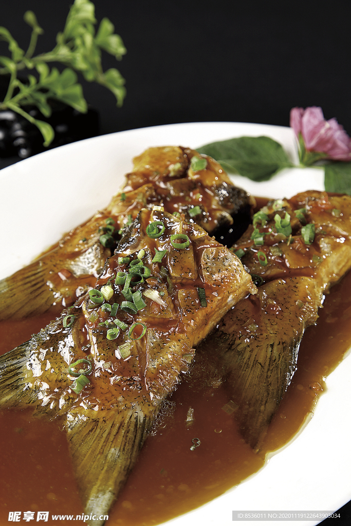 生燜魚尾