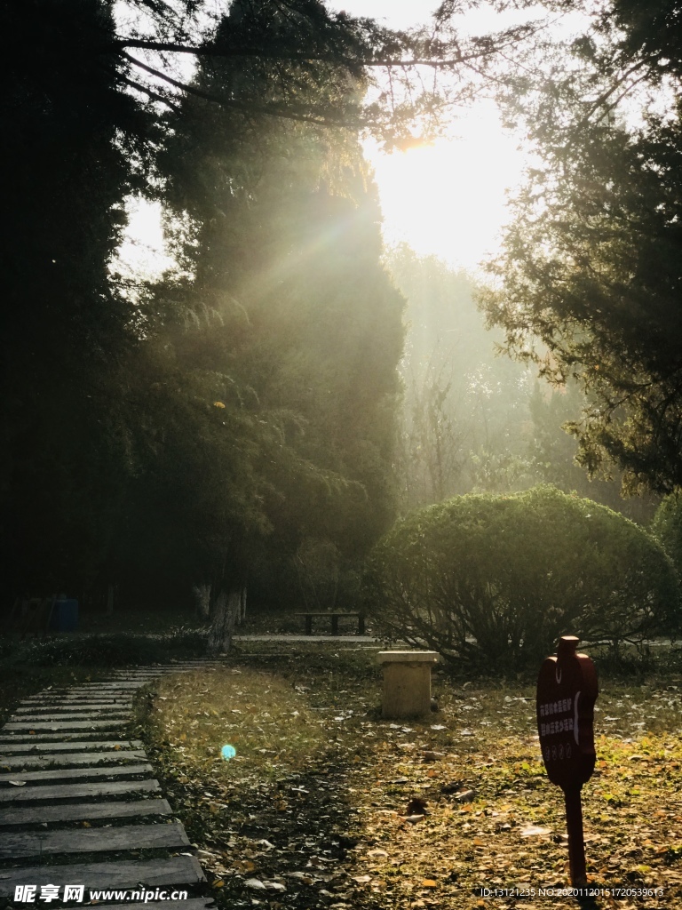 陽光傾灑