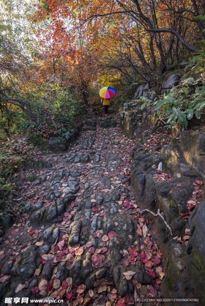 多彩秋天