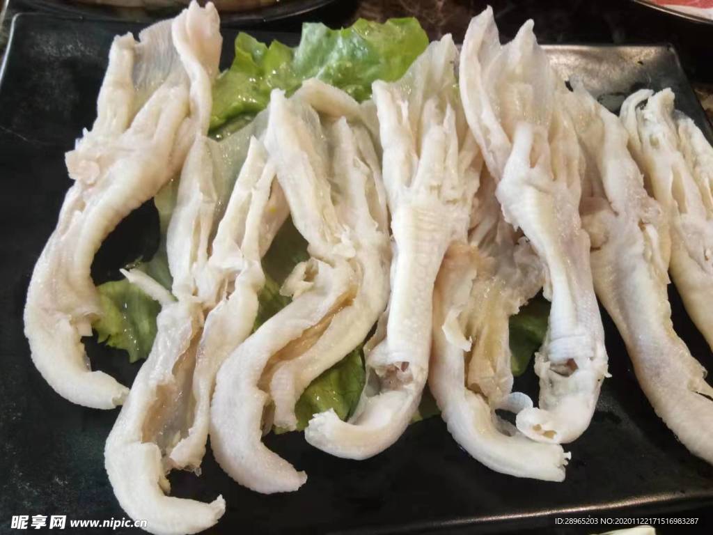 鴨腳