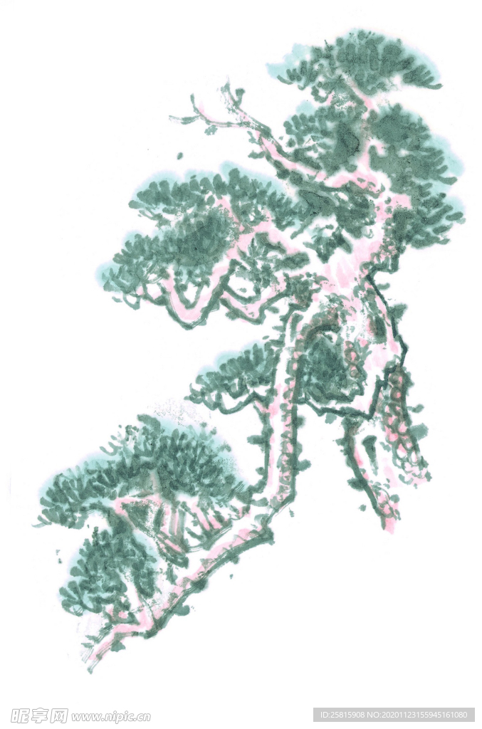 青松