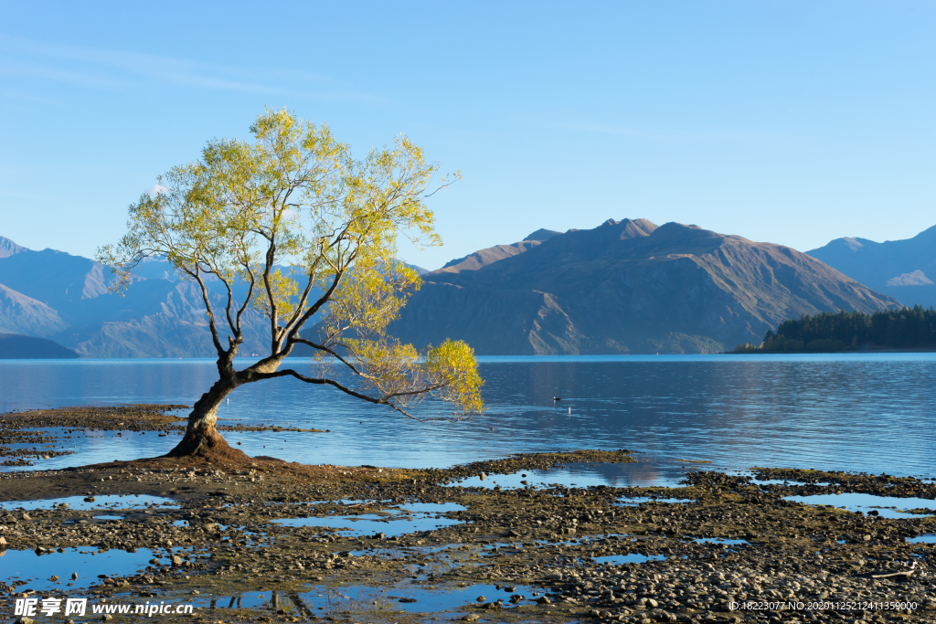 风景如画新西兰阿尔卑斯山湖泊的