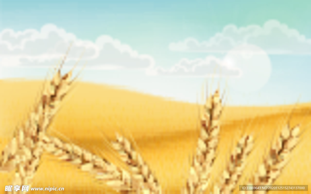 小麦 稻谷