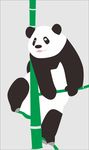 矢量熊猫爬竹子卡通手绘
