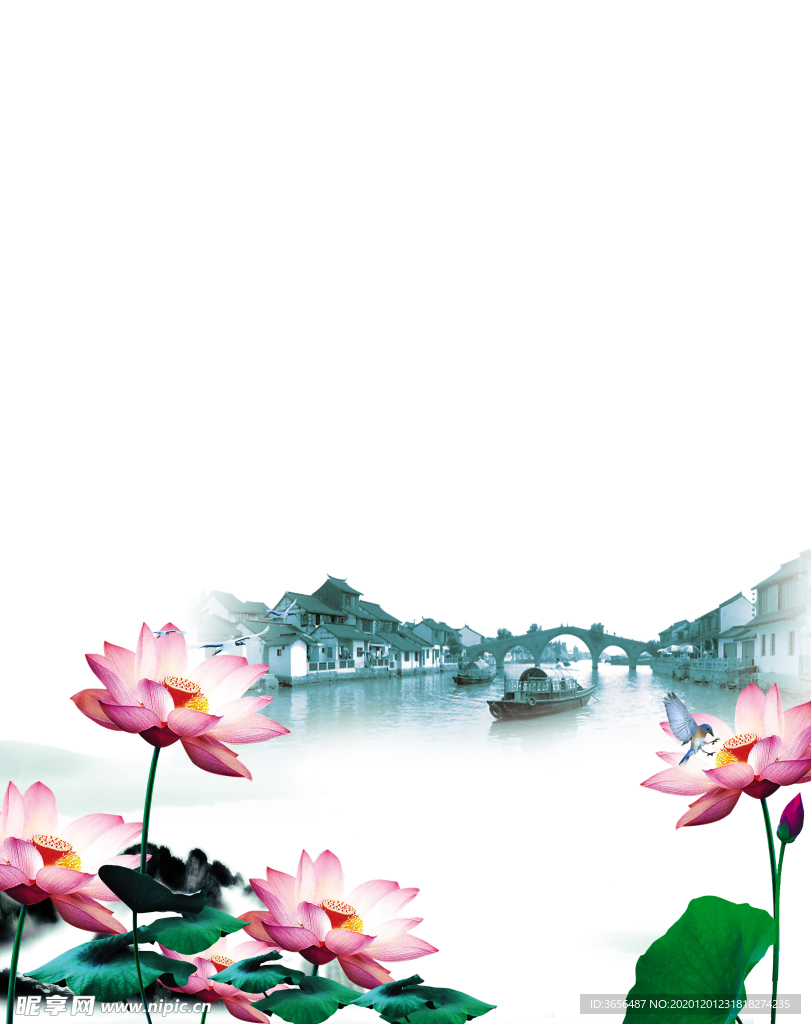 荷花   船   江南