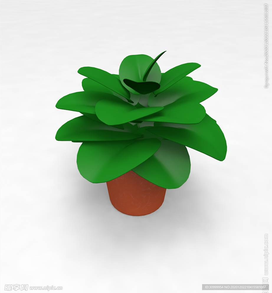 3d植物模型