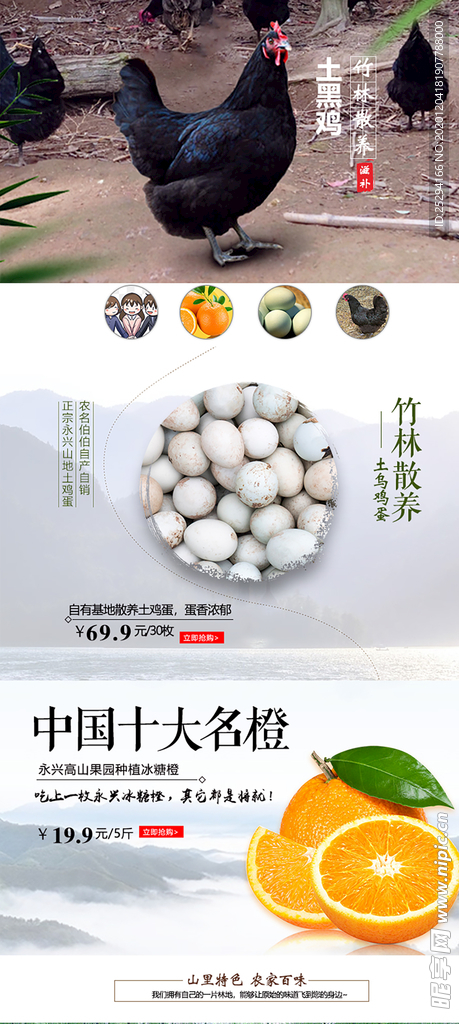 烏雞店鋪首頁