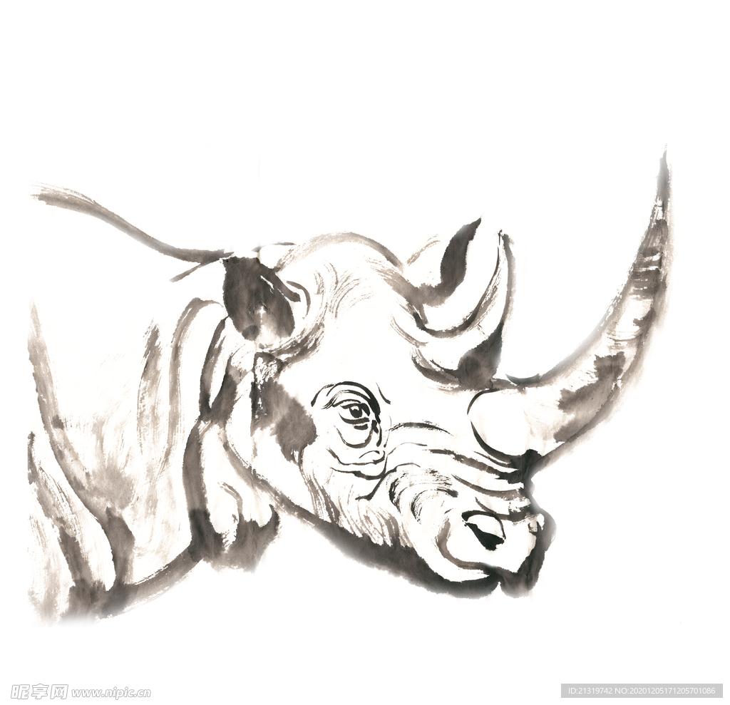 犀牛的头部插画