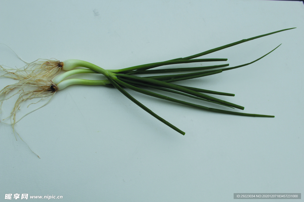 蔬菜 香蔥