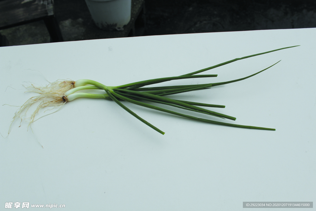 蔬菜 香蔥