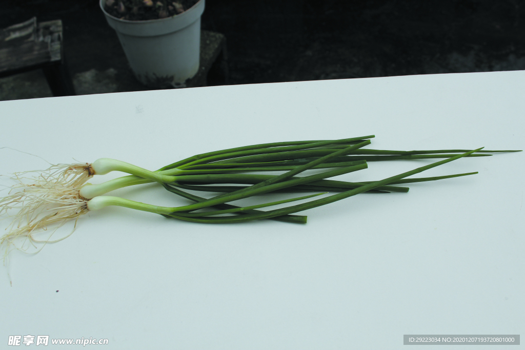 蔬菜 香蔥