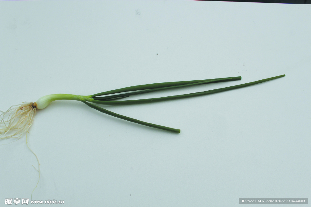 蔬菜 香蔥