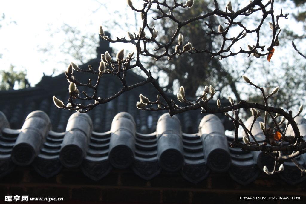 普照寺