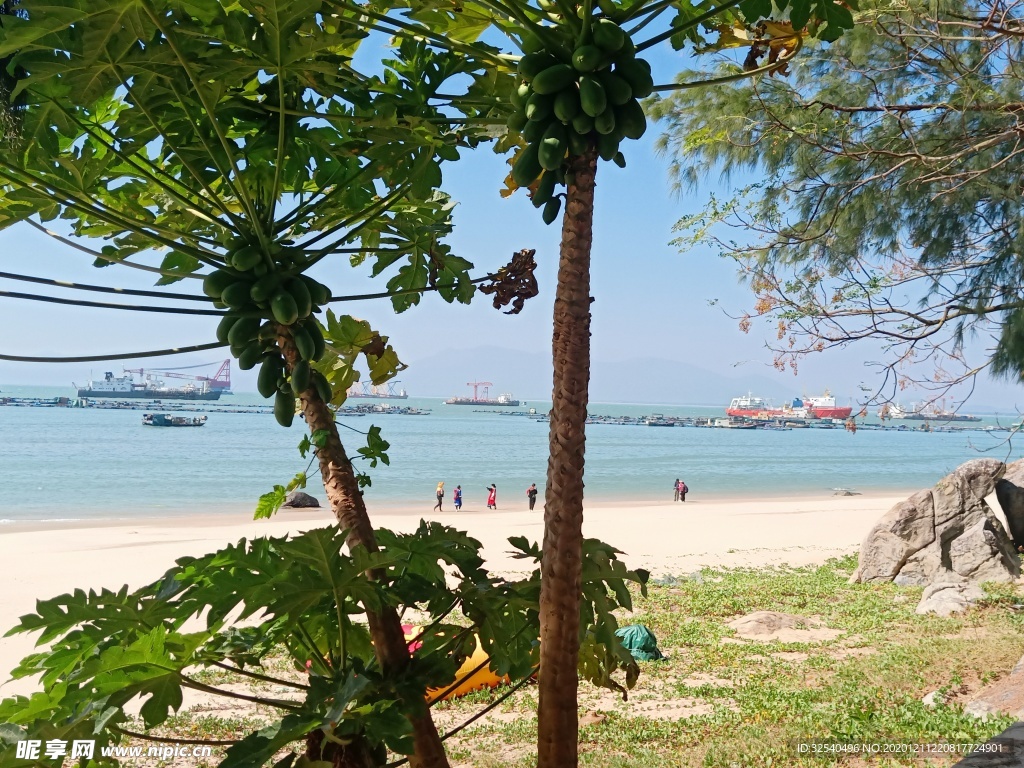 海灘旅游