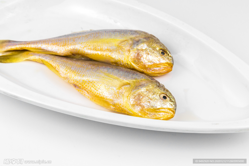 黃花魚 大黃魚