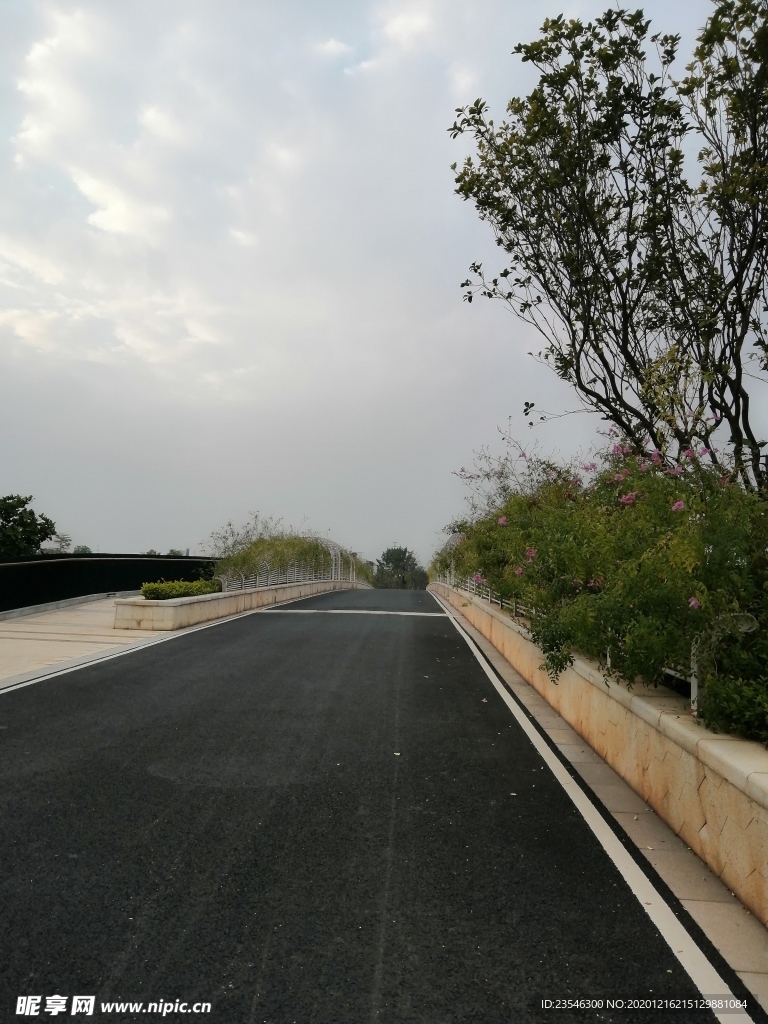 景區(qū)內(nèi)有鮮花的橋上公路