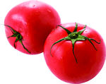 西红柿番茄透明免抠素材
