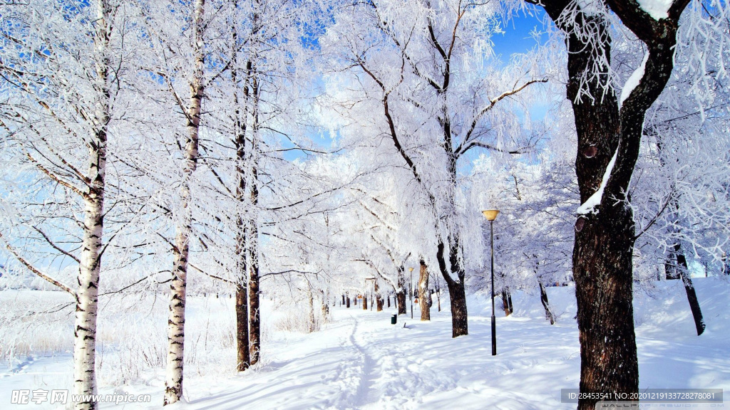風景雪景