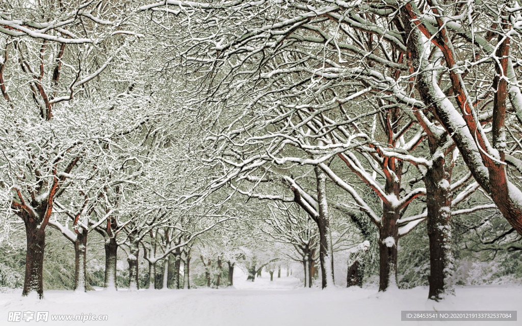 風(fēng)景雪景