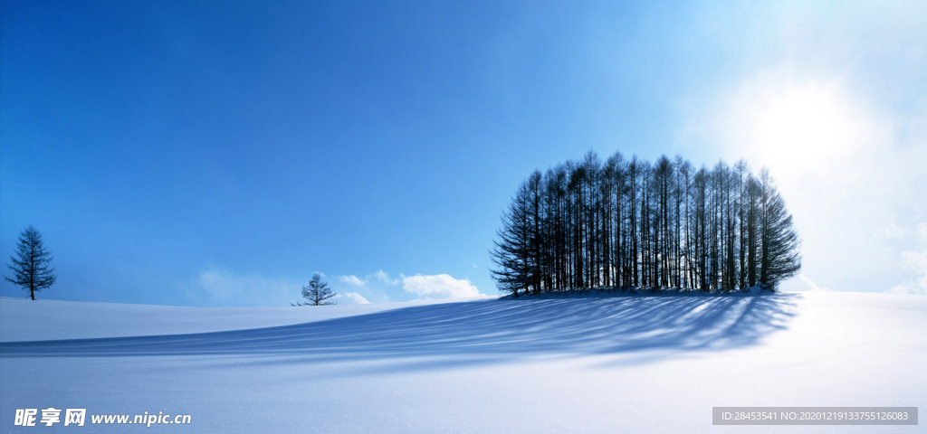 風(fēng)景 雪景
