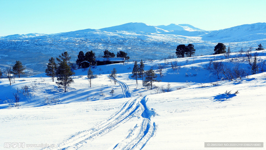 風(fēng)景 雪景