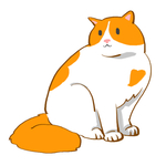 胖胖的可爱猫咪