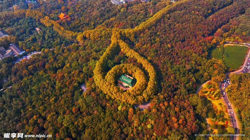 中山林